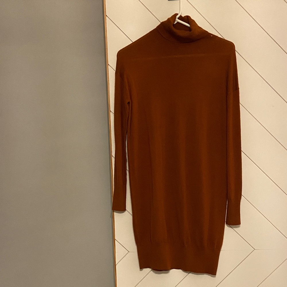 Cremieux turtleneck dress